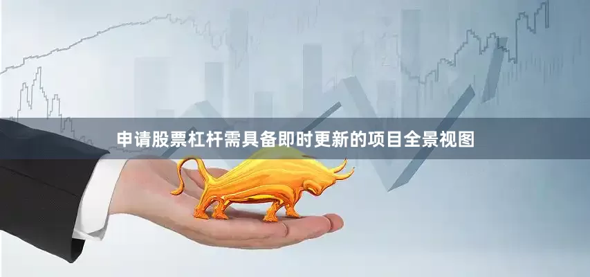 申请股票杠杆需具备即时更新的项目全景视图